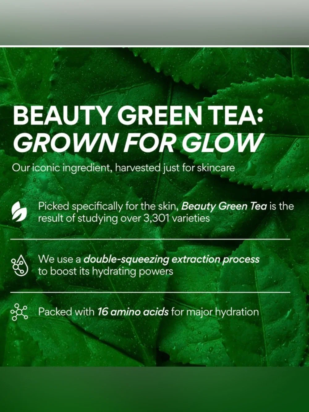 Innisfree Green Tea Seed Hyaluronic Cream –